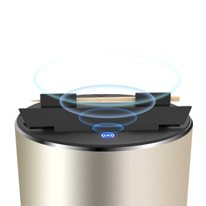 Automatic Tooth Pick Dispenser